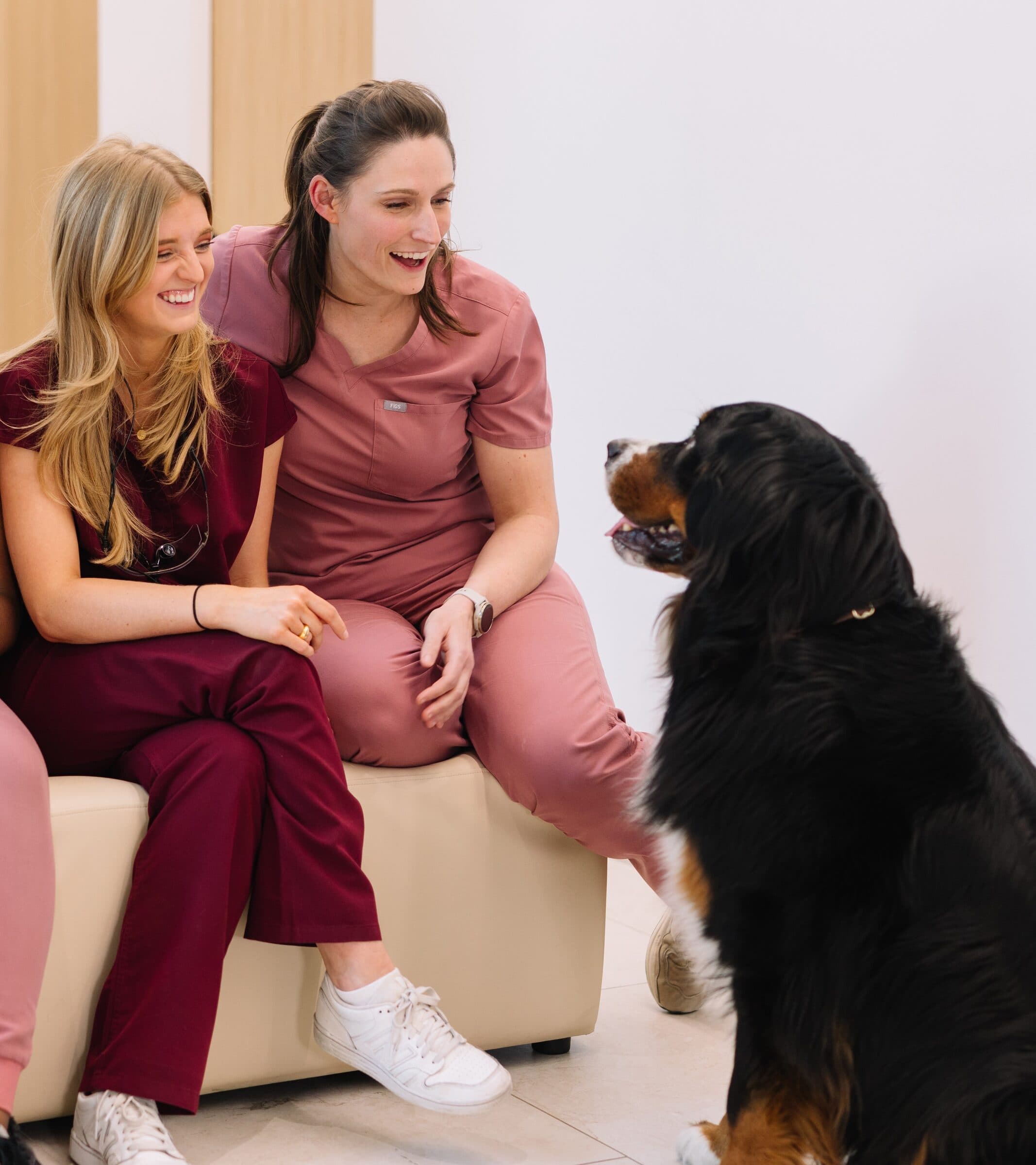 Healthy diet advice for children's teeth at Vere Dental